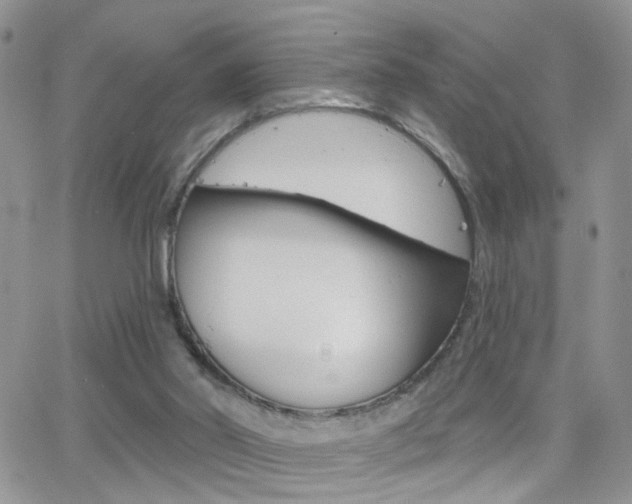 X0000066510014200603170936