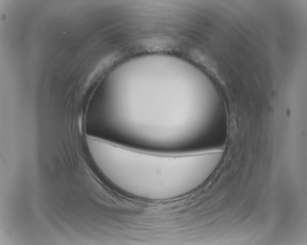 X0000066510019200603170936