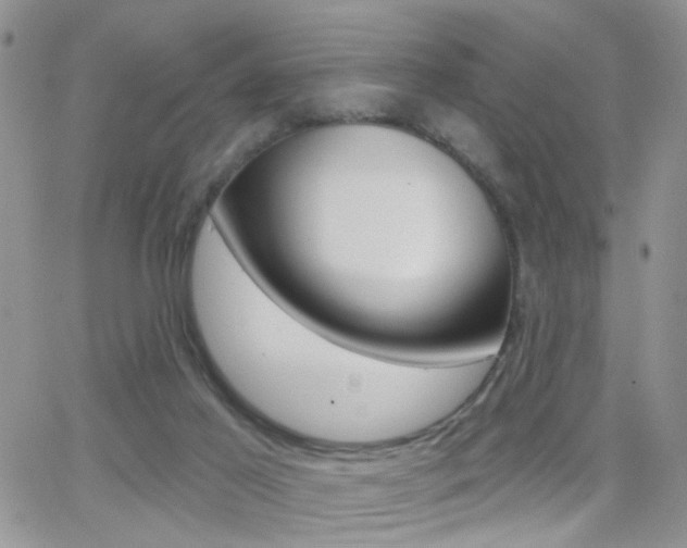 X0000066510021200603170936