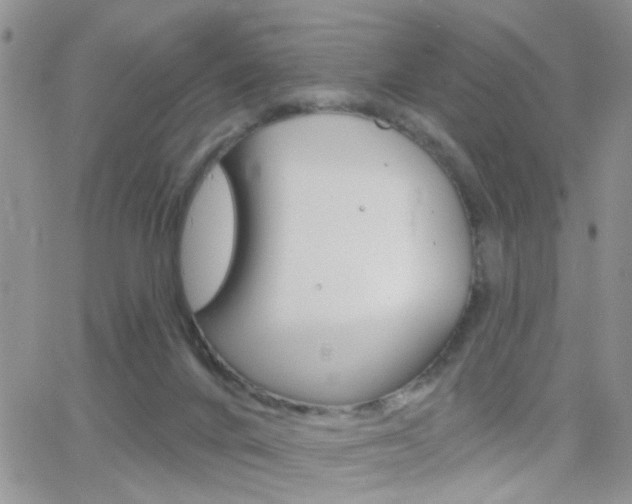 X0000066510024200603170936