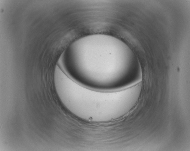 X0000066510025200603170936