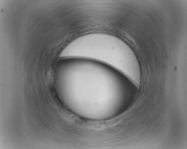 X0000066510029200603170936