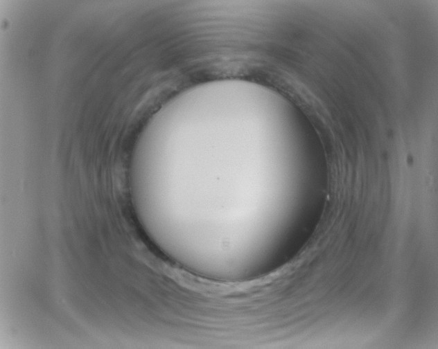 X0000066510035200603170936