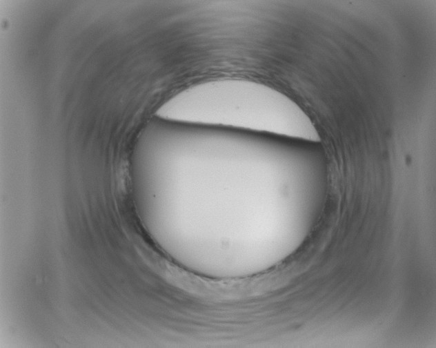 X0000066510038200603170936