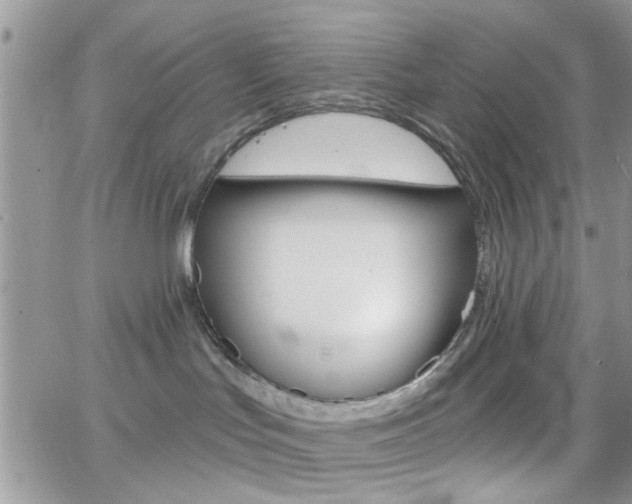 X0000066510047200603170936