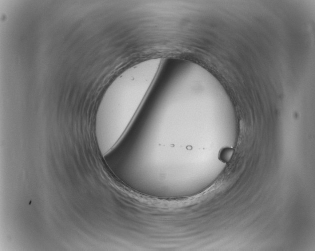 X0000066510048200603170936