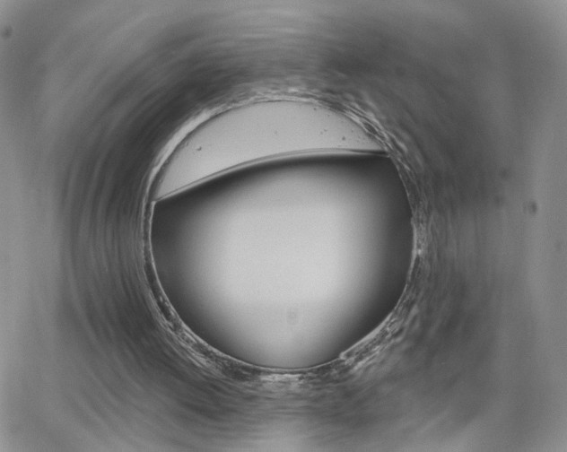 X0000066510052200603170935