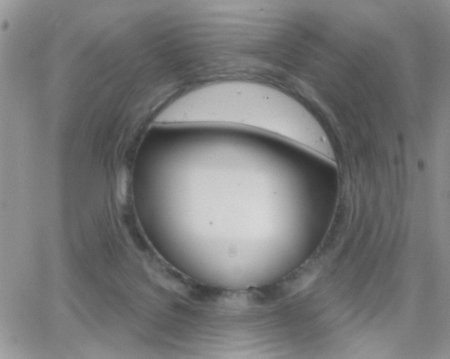 X0000066510076200603170936