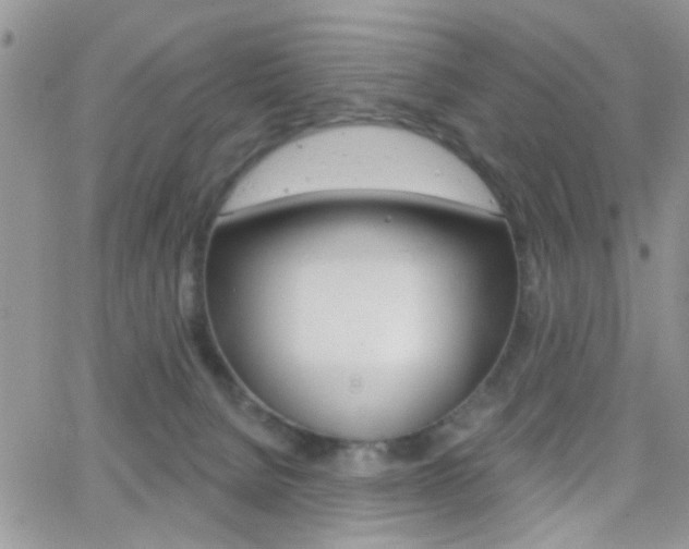 X0000066510080200603170936