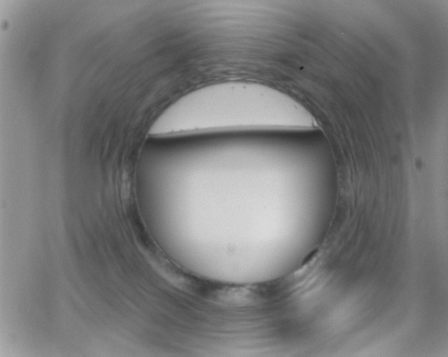 X0000066510086200603170936