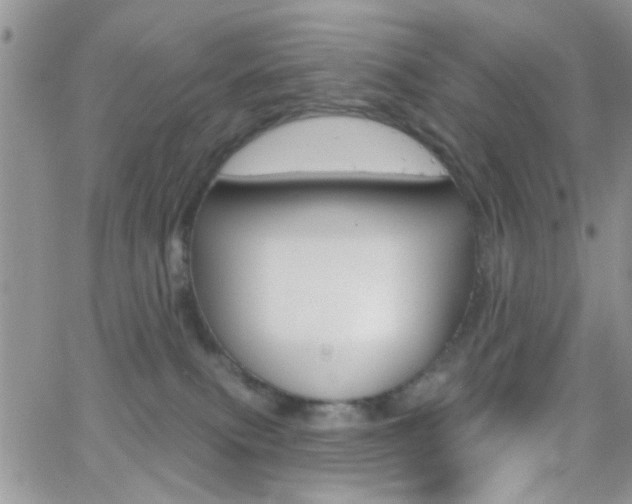 X0000066510087200603170936