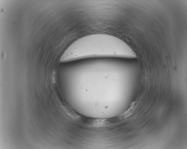 X0000066510090200603170936