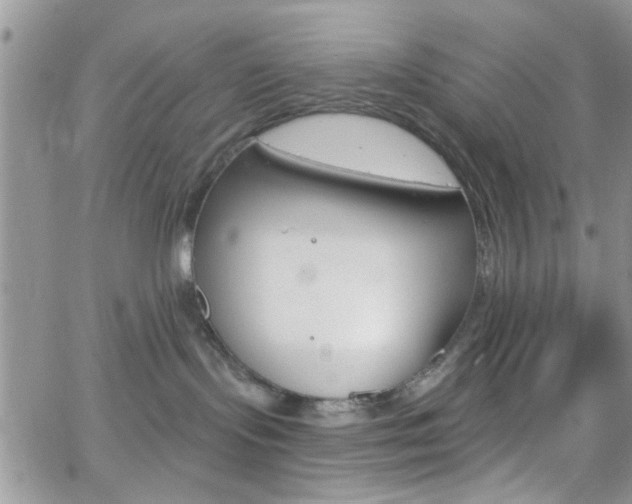 X0000066510095200603170936