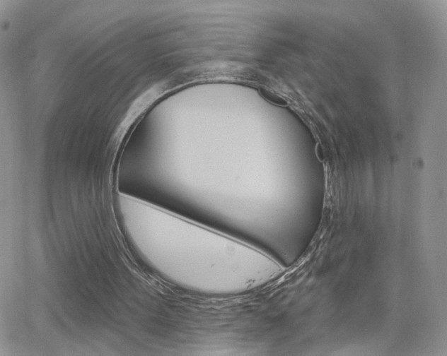 X0000066510099200603170935