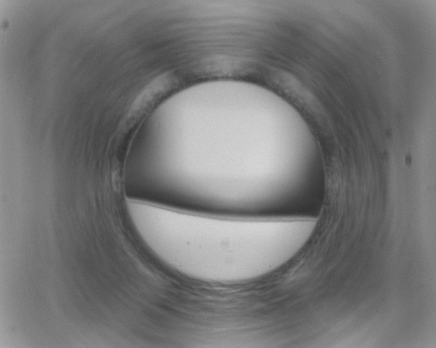X0000066510119200603170935