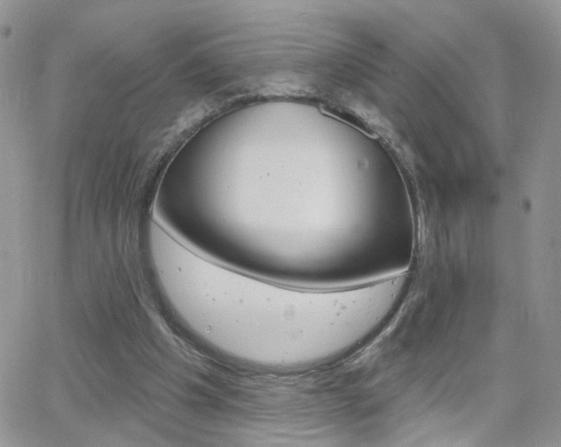 X0000066510201200603170933