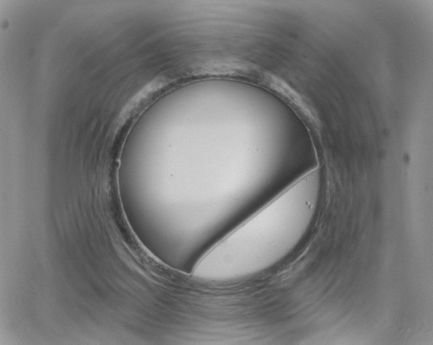 X0000066510203200603170933
