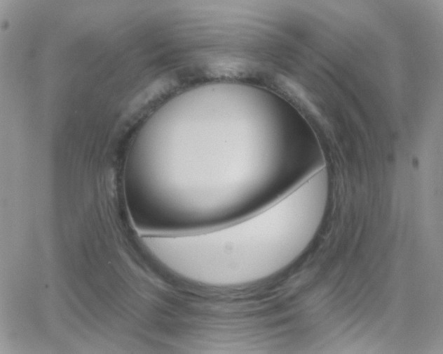 X0000066510211200603170933