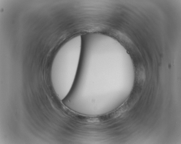 X0000066510214200603170933