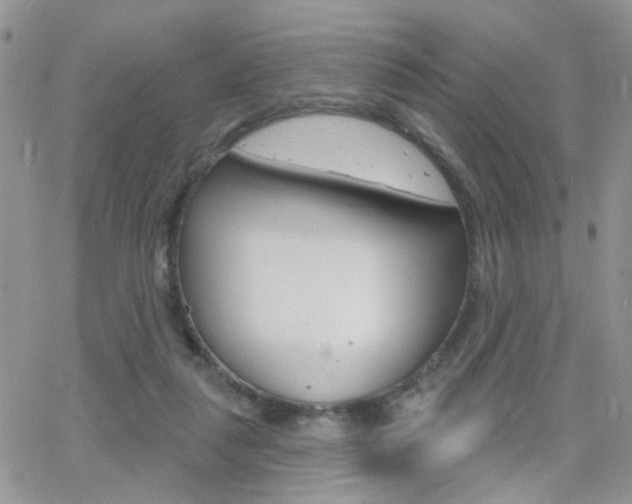 X0000066510259200603170932
