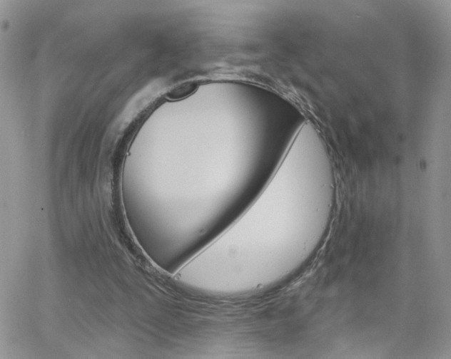 X0000066510295200603170932