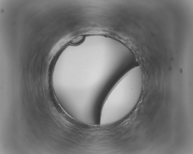 X0000066510296200603170932