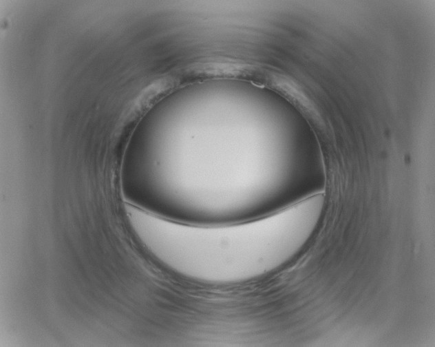 X0000066510309200603170932