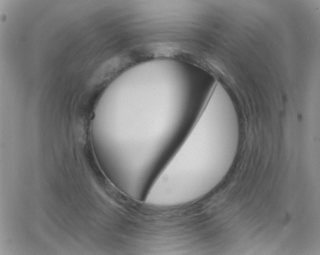X0000066510311200603170932