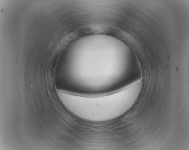 X0000066510317200603170932