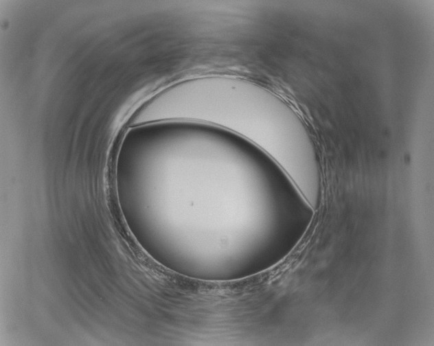 X0000066510340200603170930