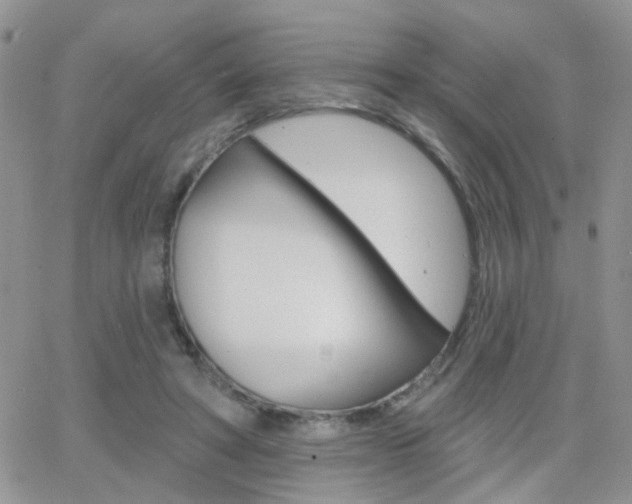 X0000066510402200603170930