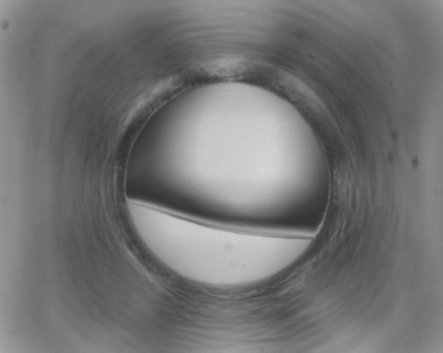 X0000066510404200603170930