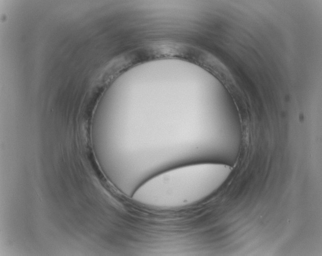 X0000066510410200603170930