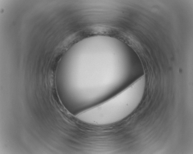 X0000066510413200603170930
