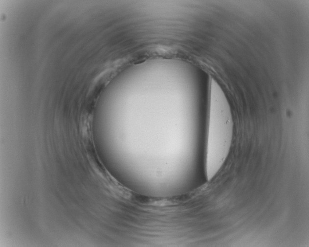 X0000066510423200603170930