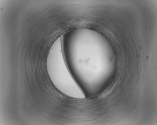 X0000066510432200603170930