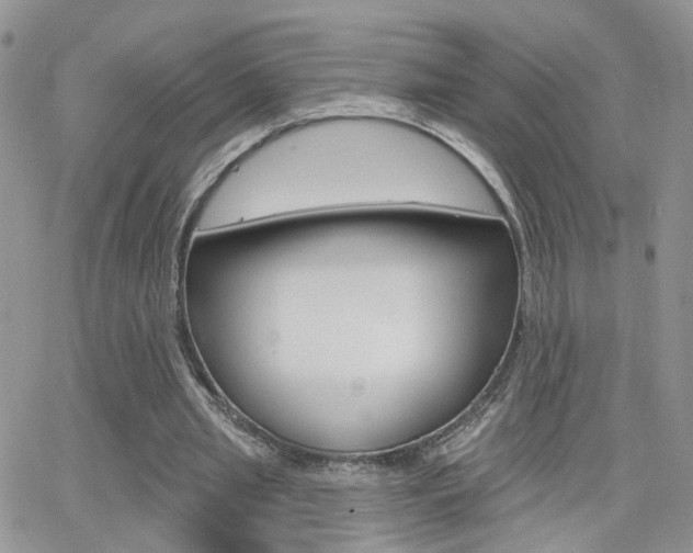 X0000066510437200603170929