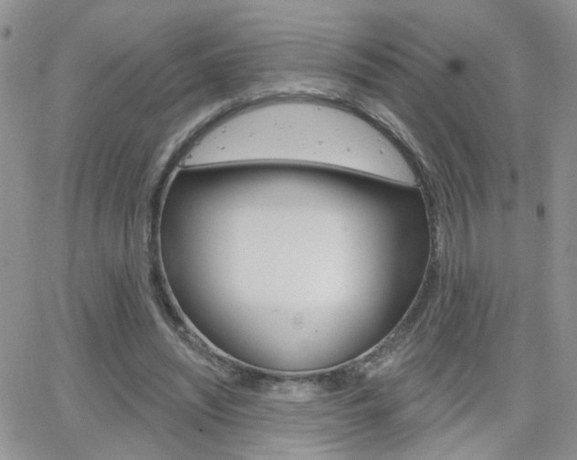 X0000066510444200603170929