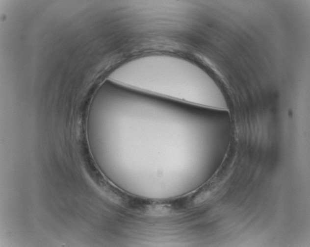 X0000066510451200603170929