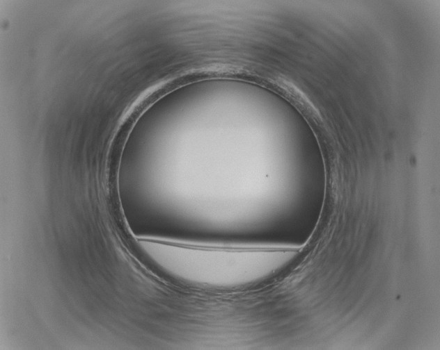 X0000066510484200603170929