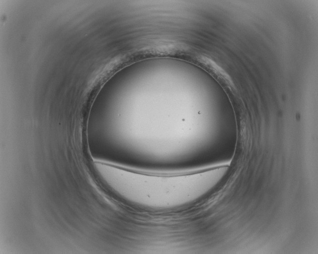 X0000066510493200603170929