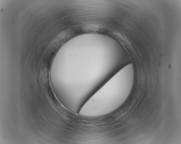 X0000066510498200603170929
