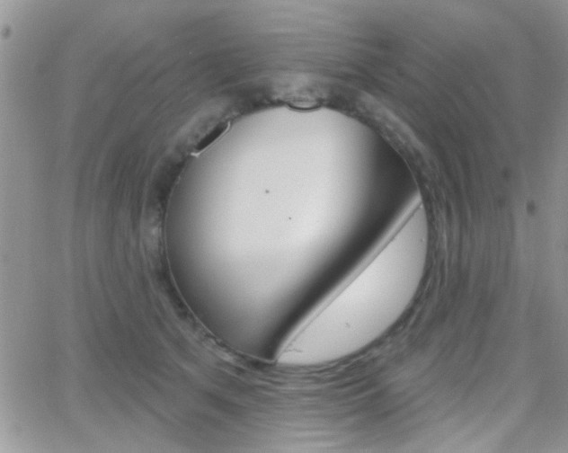 X0000066510513200603170928