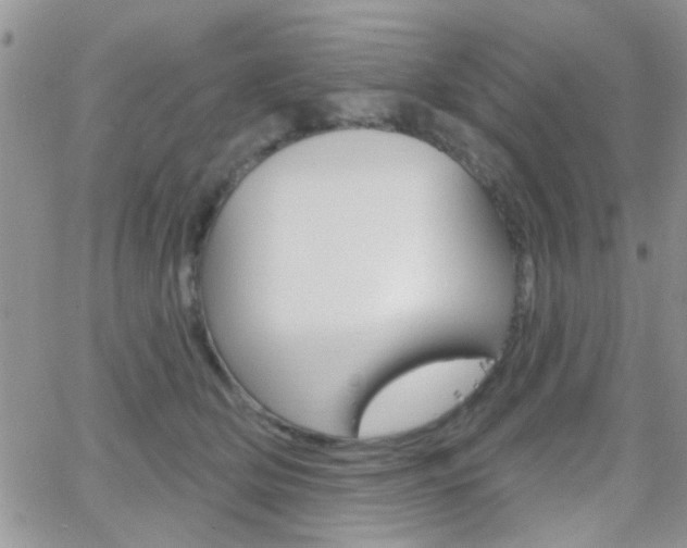 X0000066510514200603170928