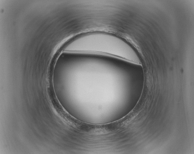 X0000066510536200603170927
