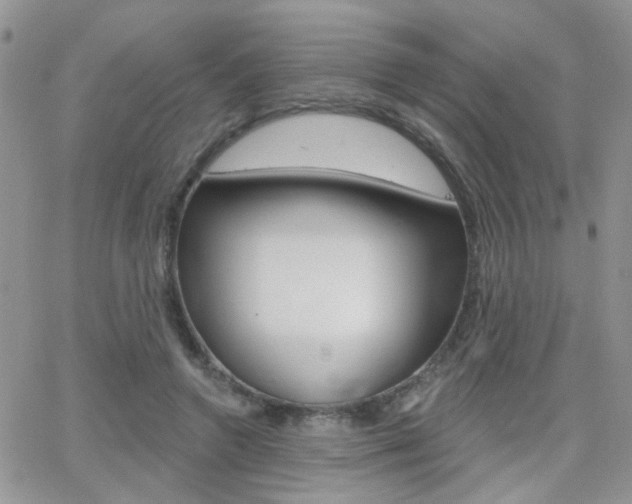 X0000066510546200603170928
