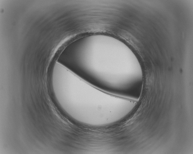 X0000066510584200603170927
