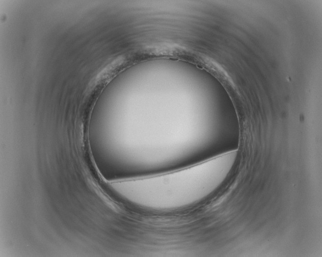 X0000066510589200603170927