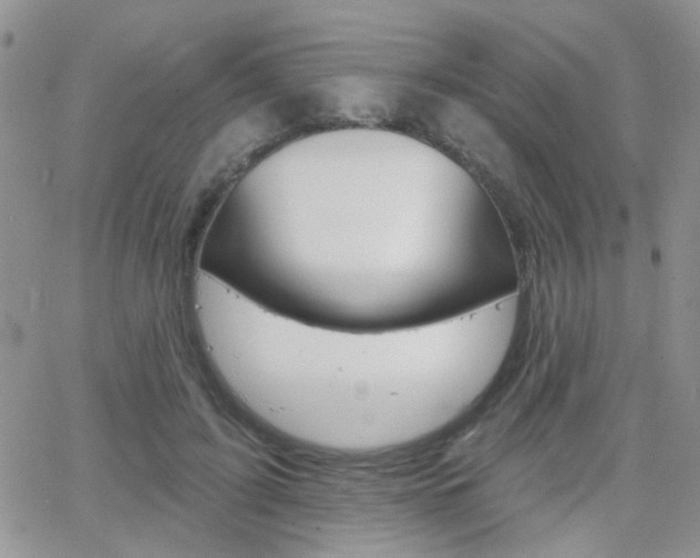 X0000066510595200603170927