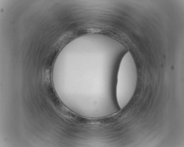 X0000066510598200603170927